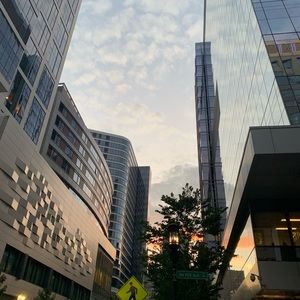 Meet your Posher, Emma